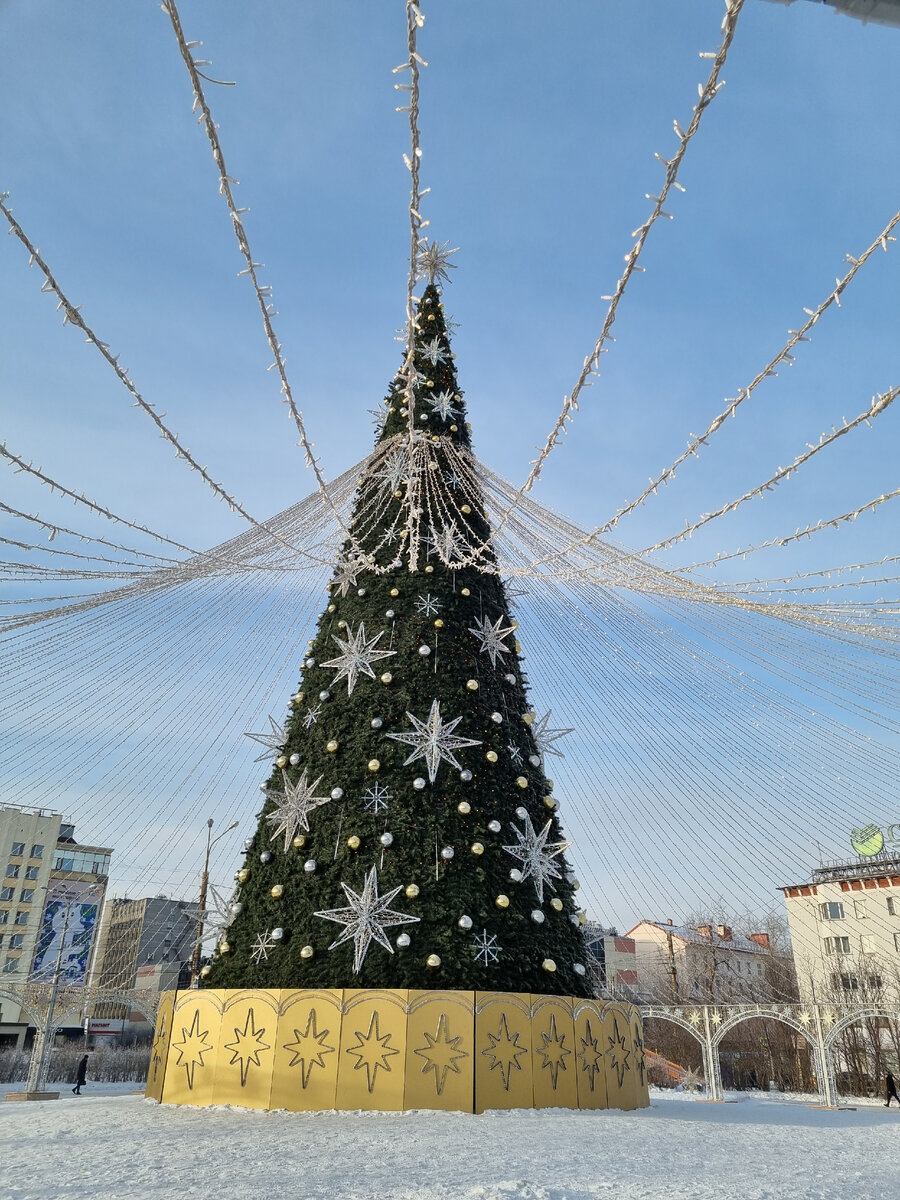 Ёлочка не горит