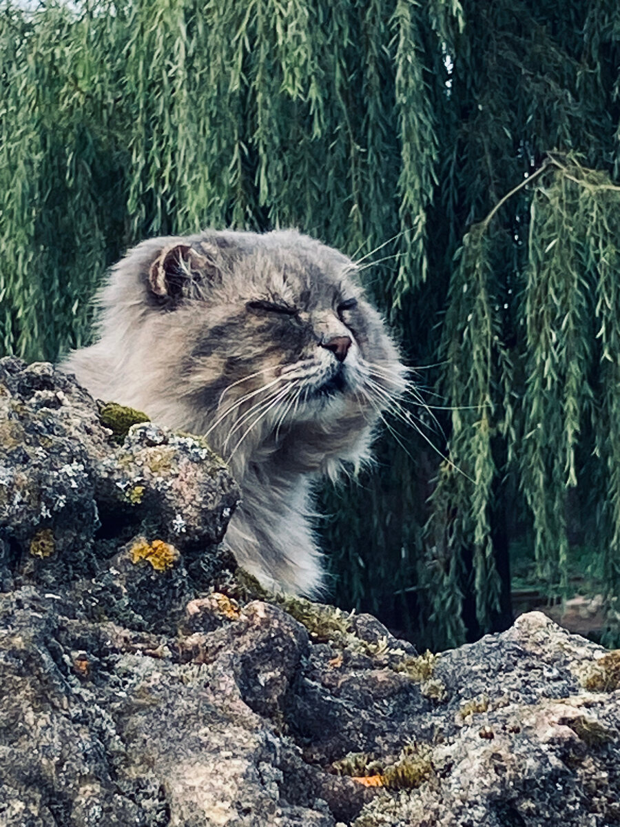 Чего зря глаза открывать! везде фото автора.