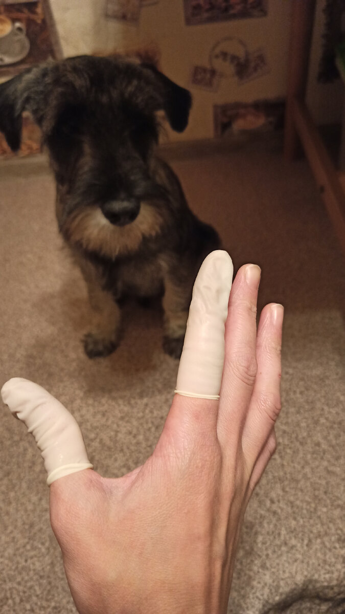 Выражение Арчиной морды бесценно...🤣🤣😞