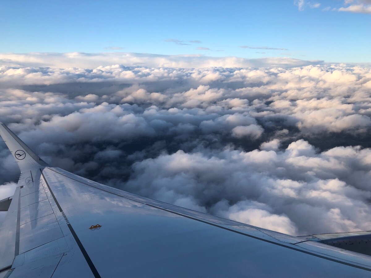 Фото Сергея Теленкова