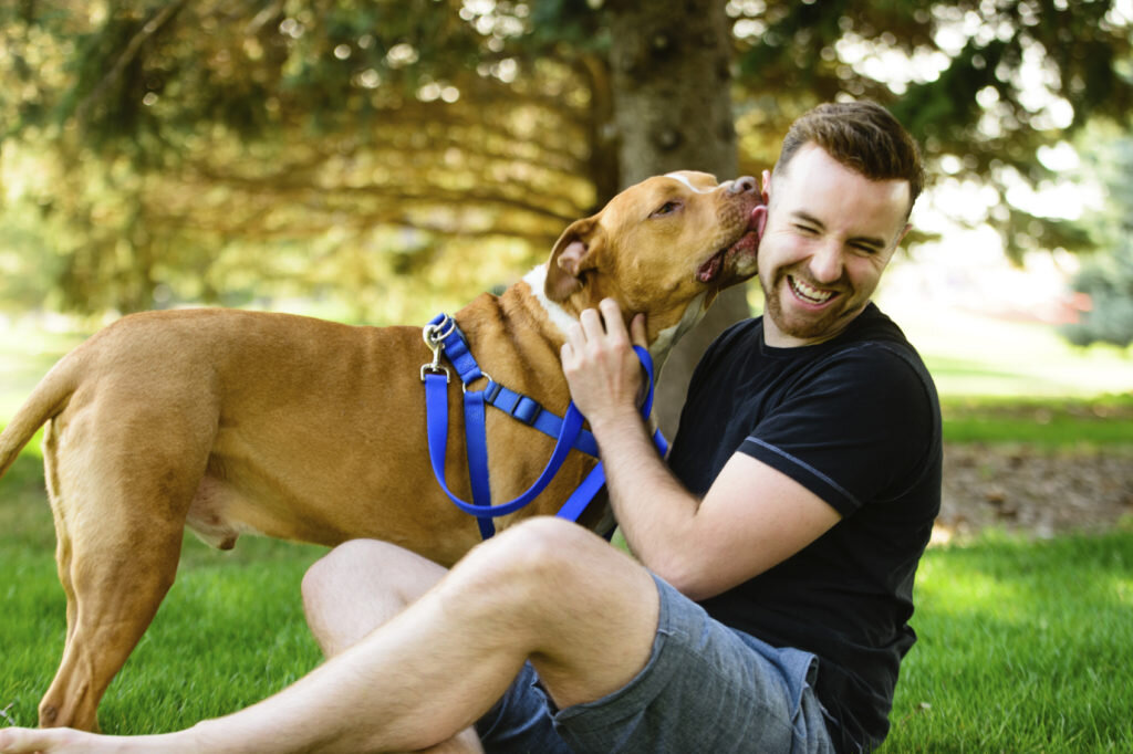 Голосовые подкрепления и похвалы