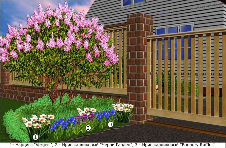 Клумба у ворот в мае