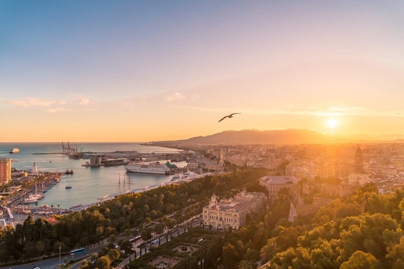 Photo by Willian Justen de Vasconcellos on Unsplash