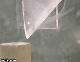 Правила просты, внутри куба находиться орех (для попугая кеа) или личинка (для черного ворона), нужно его достать оттуда причём с любой стороны. Но для каждой стороны предусмотрен особый метод. Птицы вольны начать с любой стороны.