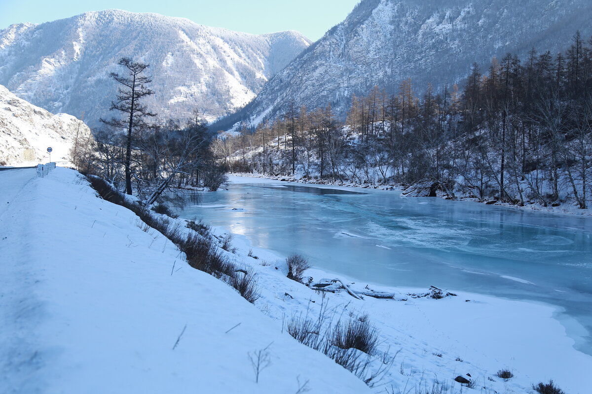 Altay sense Алтай зимой