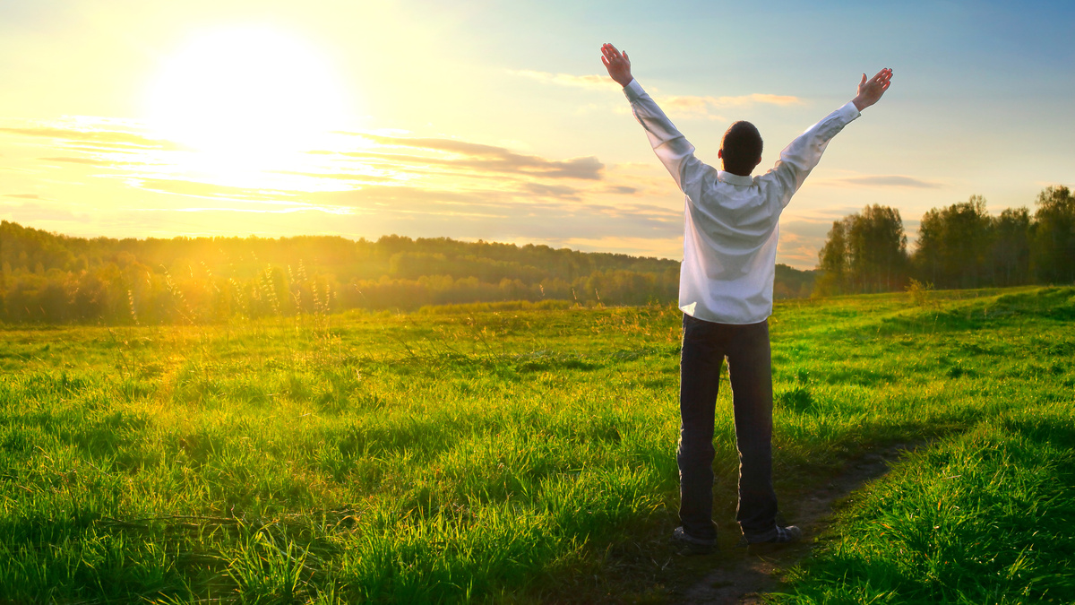 Фото из сервиса Яндекс.Картинки