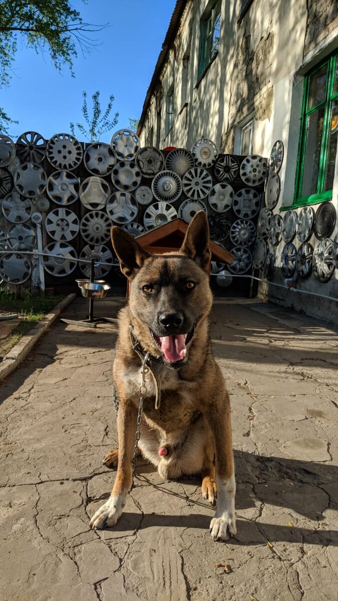 Красавчик