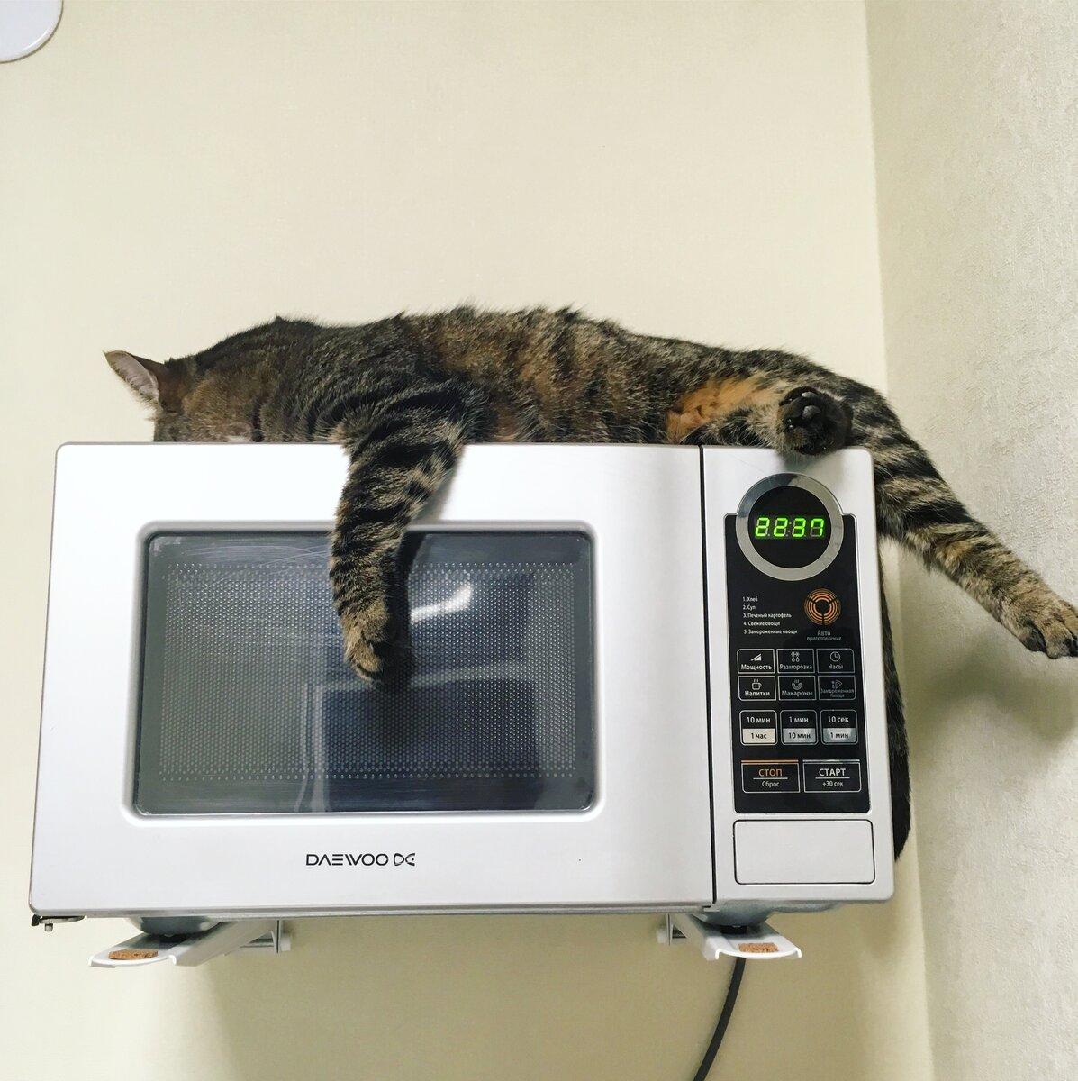 Электронные часы не тикают 