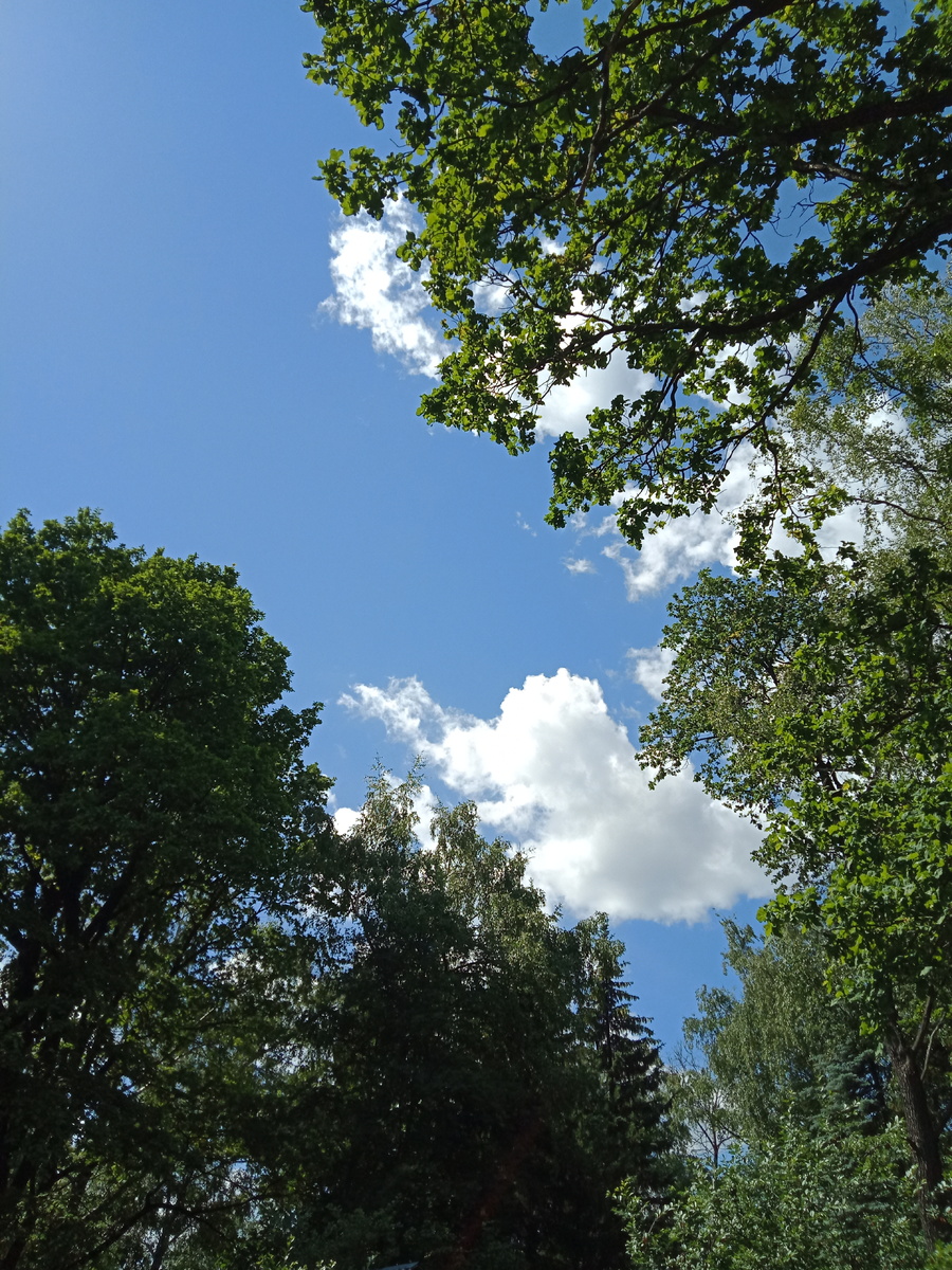 Мы часть природы.  Помните об этом.