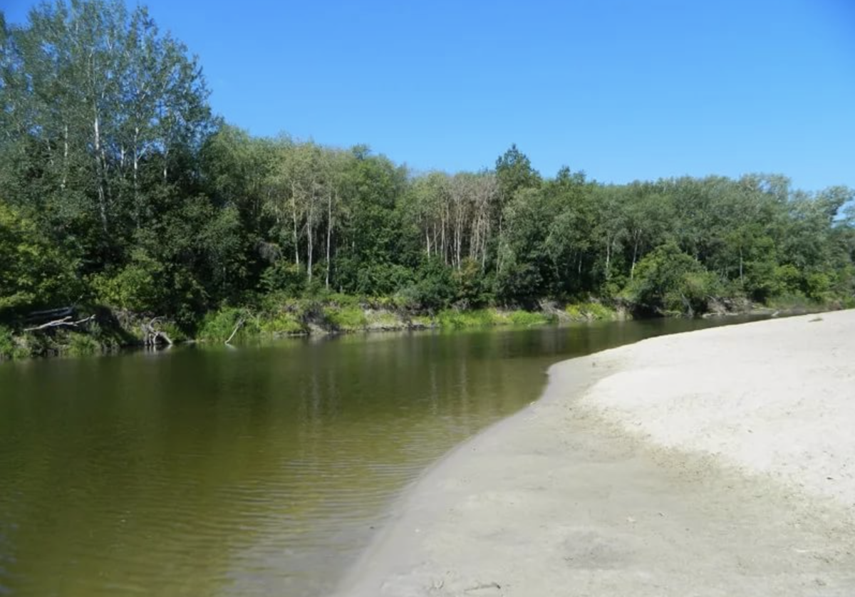 Село большой карай Романовского района Саратовской области. Река Хопер Пески. Река хопёр Воронежская область Пески. Пляжи на Хопре Воронежская область.