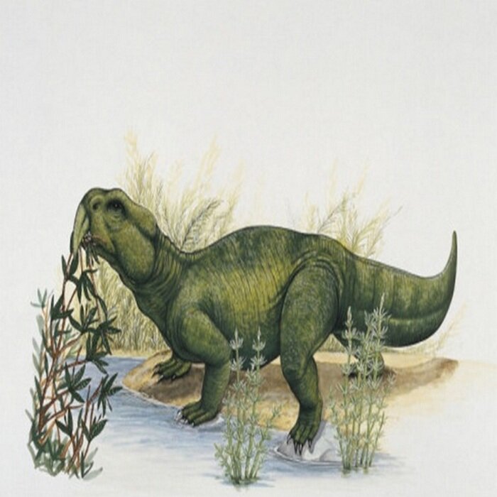 Ринхозавр Scaphonyx   http://s1.funon.cc/img/orig/201706/22/594b7de100817.jpg
