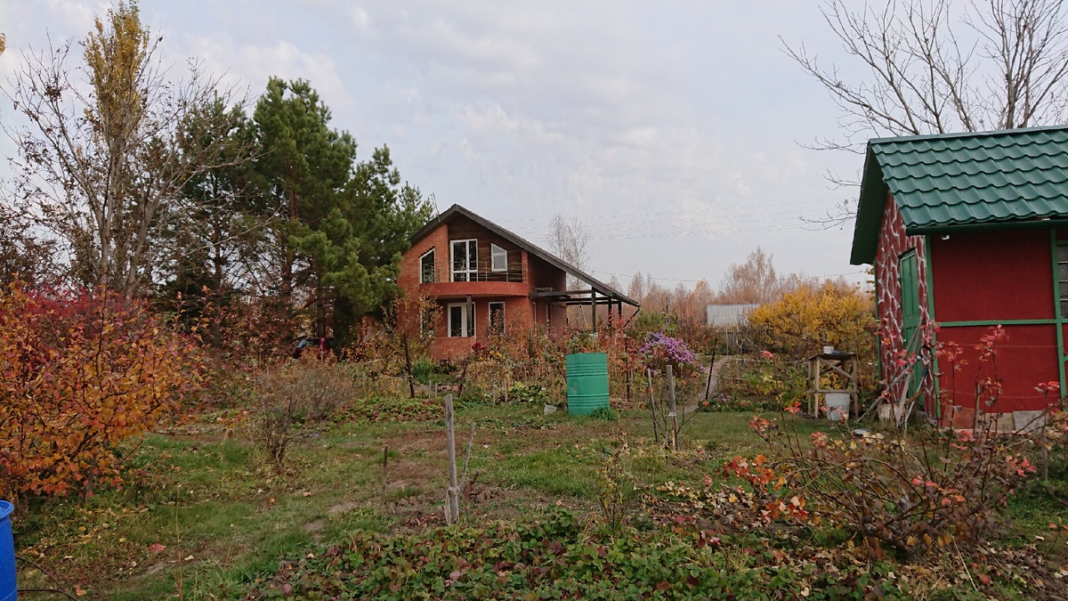Участок не маленький. Много чего интересного на нем. 