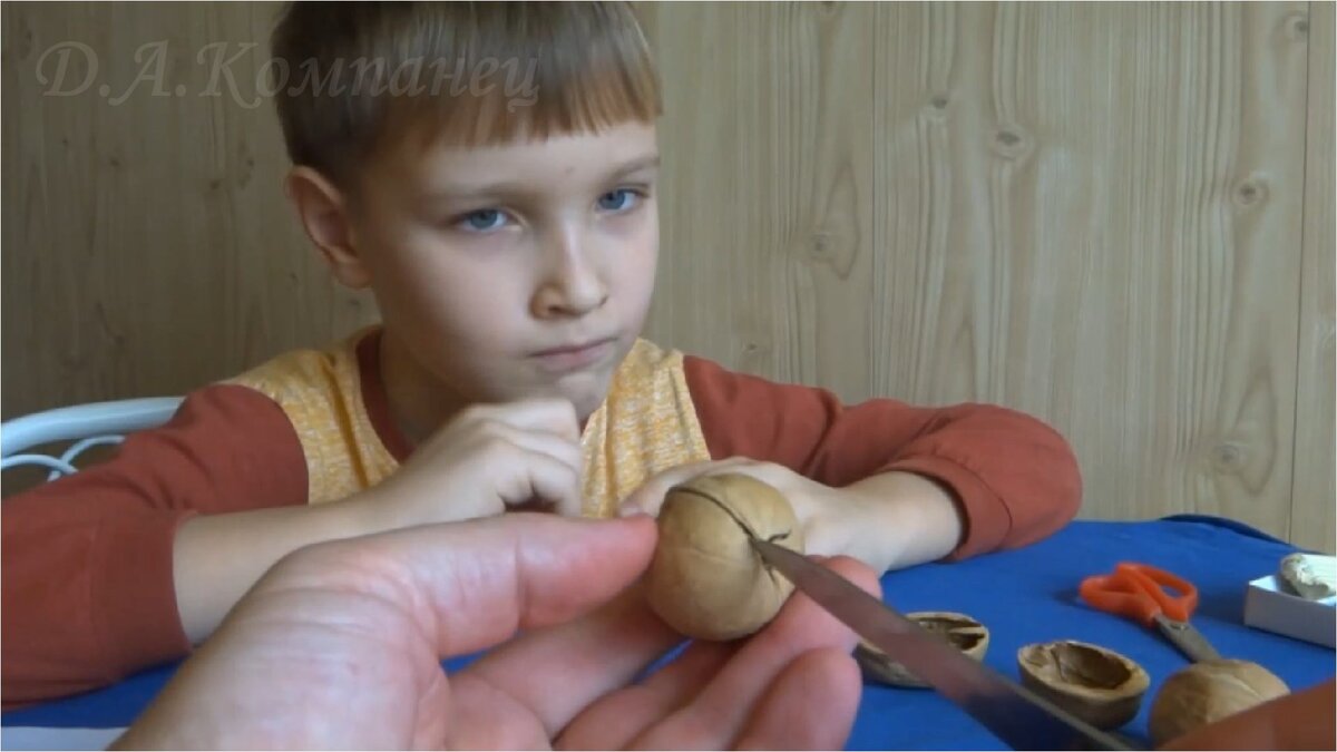 Не всякий орех подходит для фота