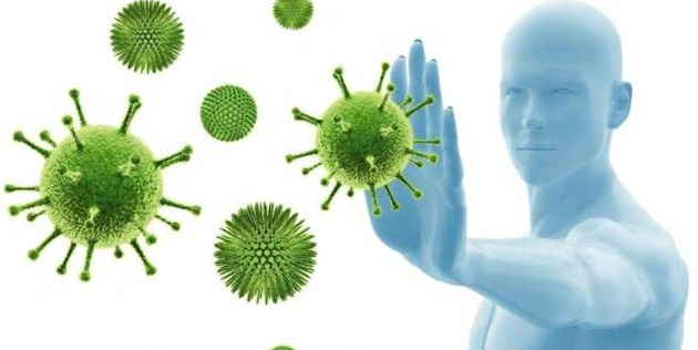 Мифы и иммунитет