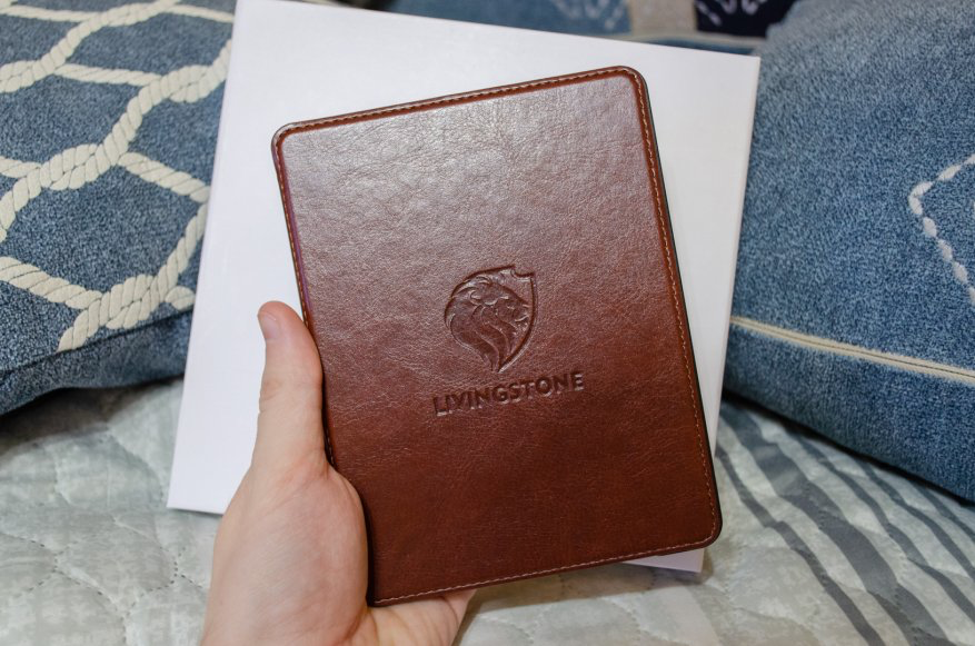 Мой выбор –  Onyx Boox Livingstone