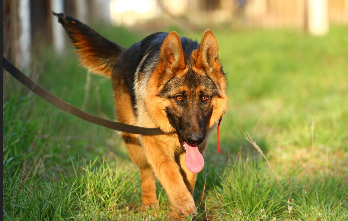 фото: открытые источники