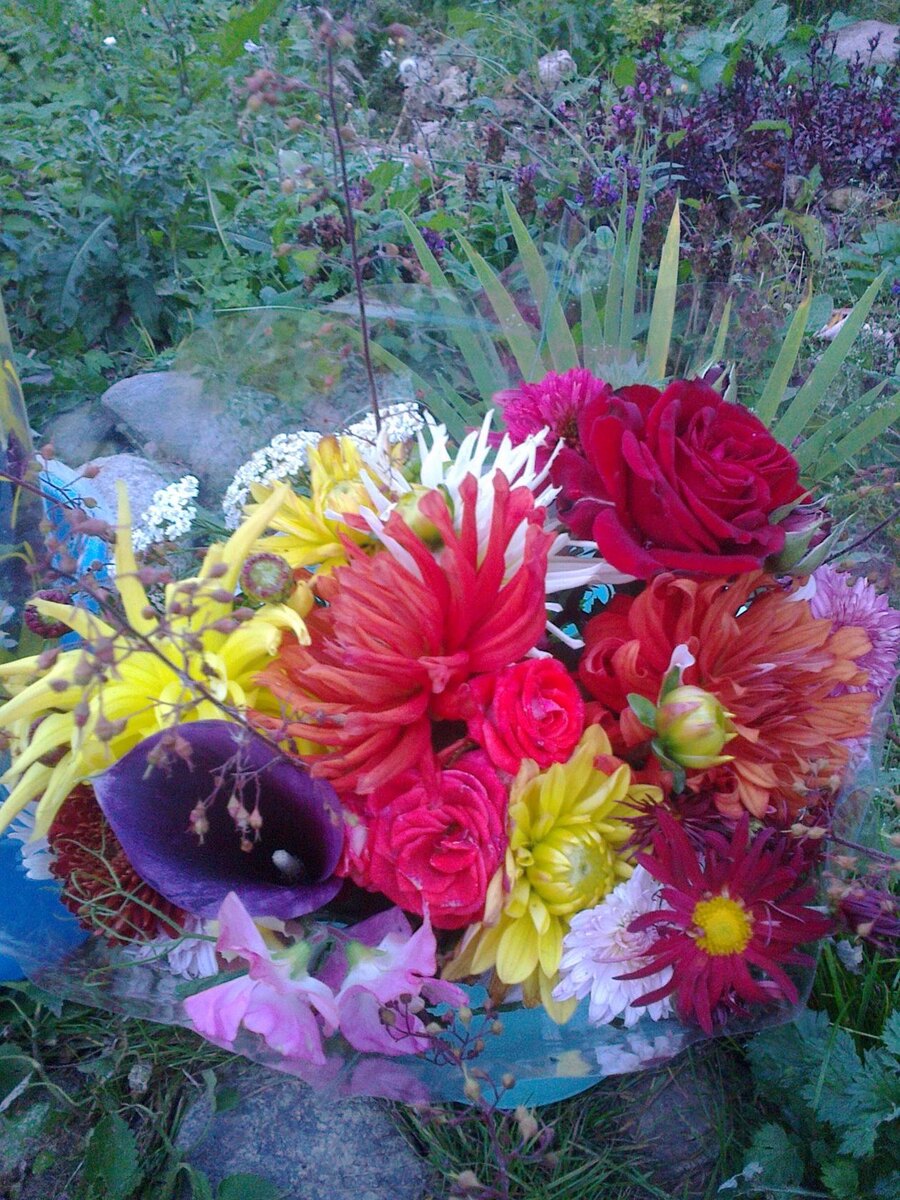 Сама себе букетик вырастила