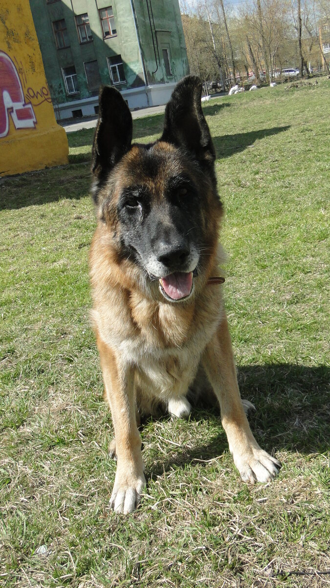 Хассо. Фото автора. 