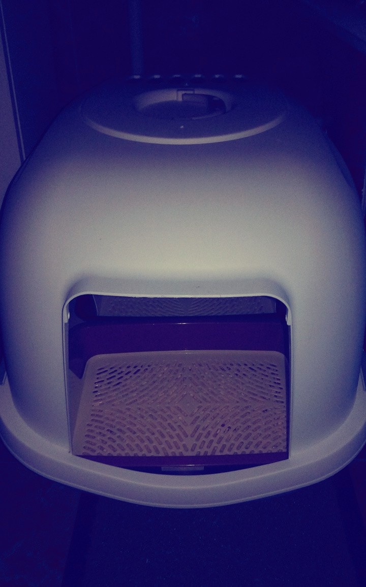 Личное фото автора 