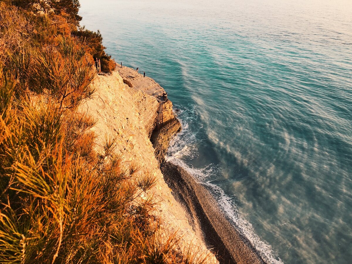 Дикий пляж Сосновка - райское местечко на Черноморском побережье🏖 |  Посмотри вокруг | Дзен