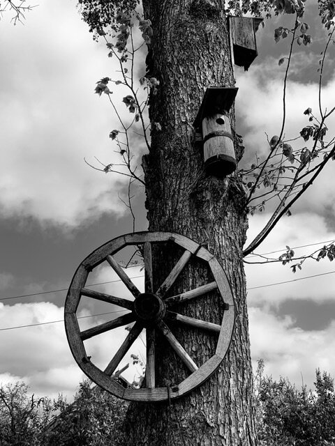 «Колесо Ведьмы»