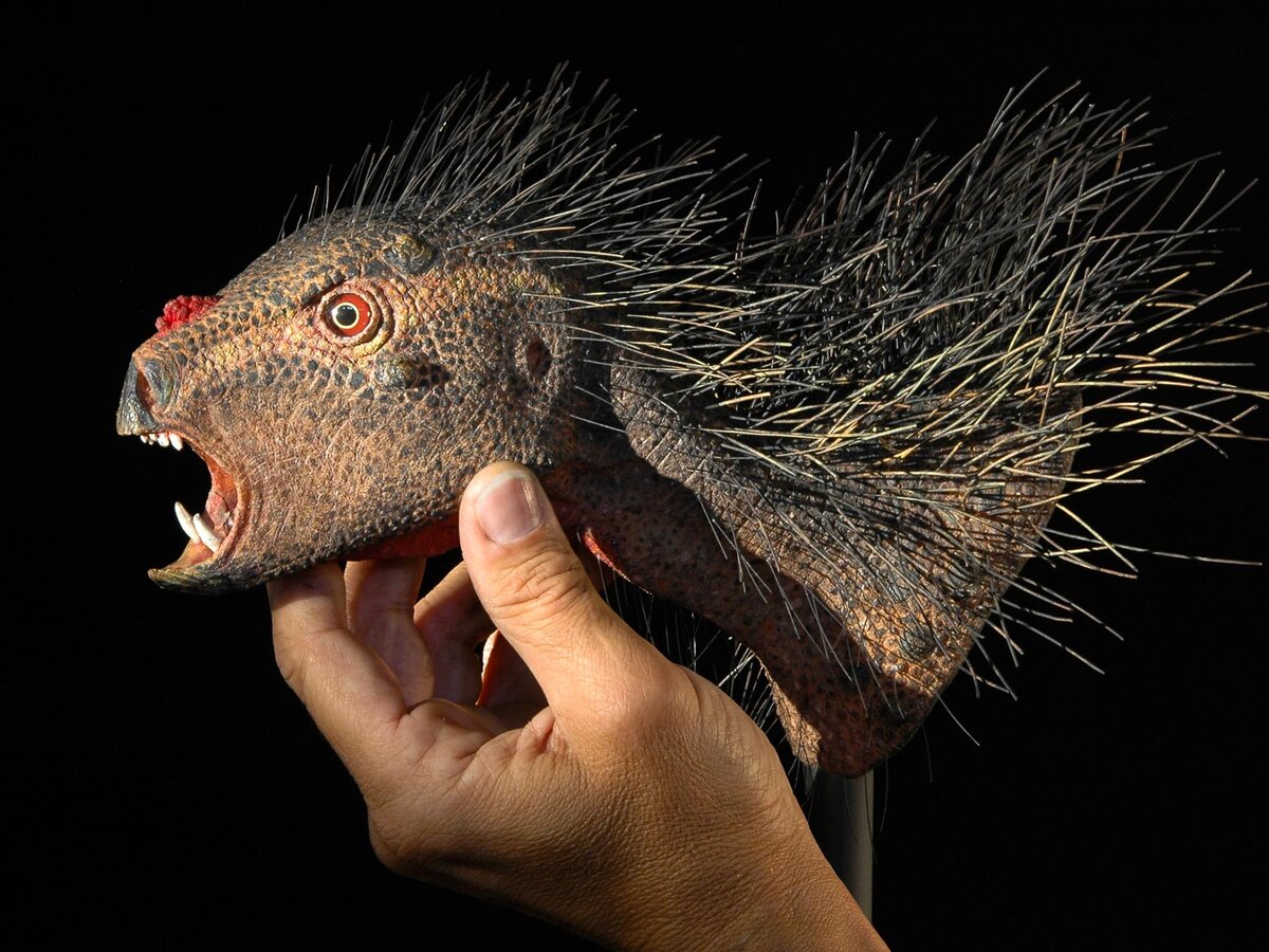 кейт кларк таксидермия. фото гибридов животных и человека.