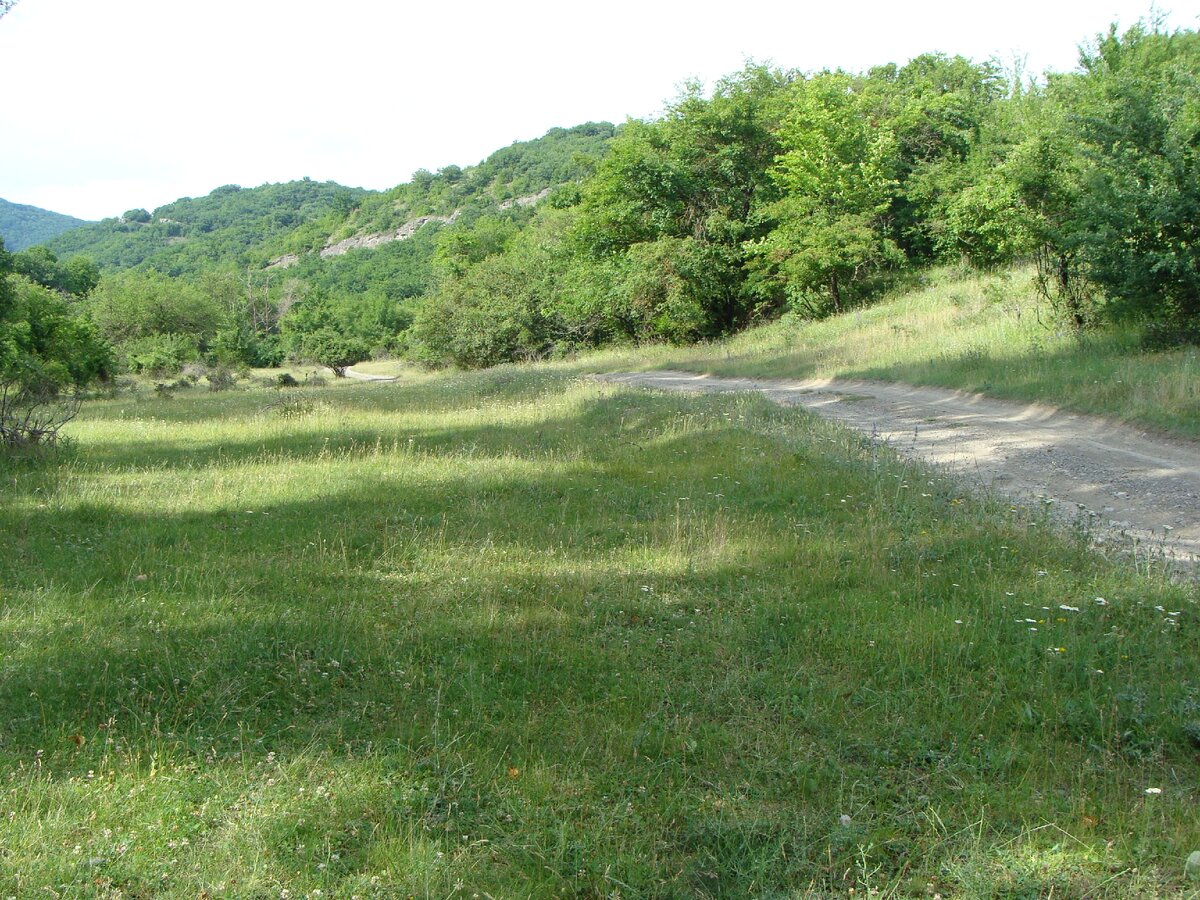 По дороге к озеру