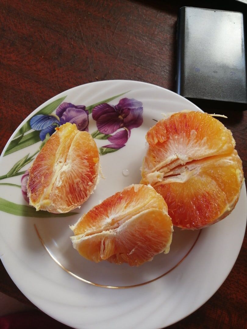 Красный апельсин