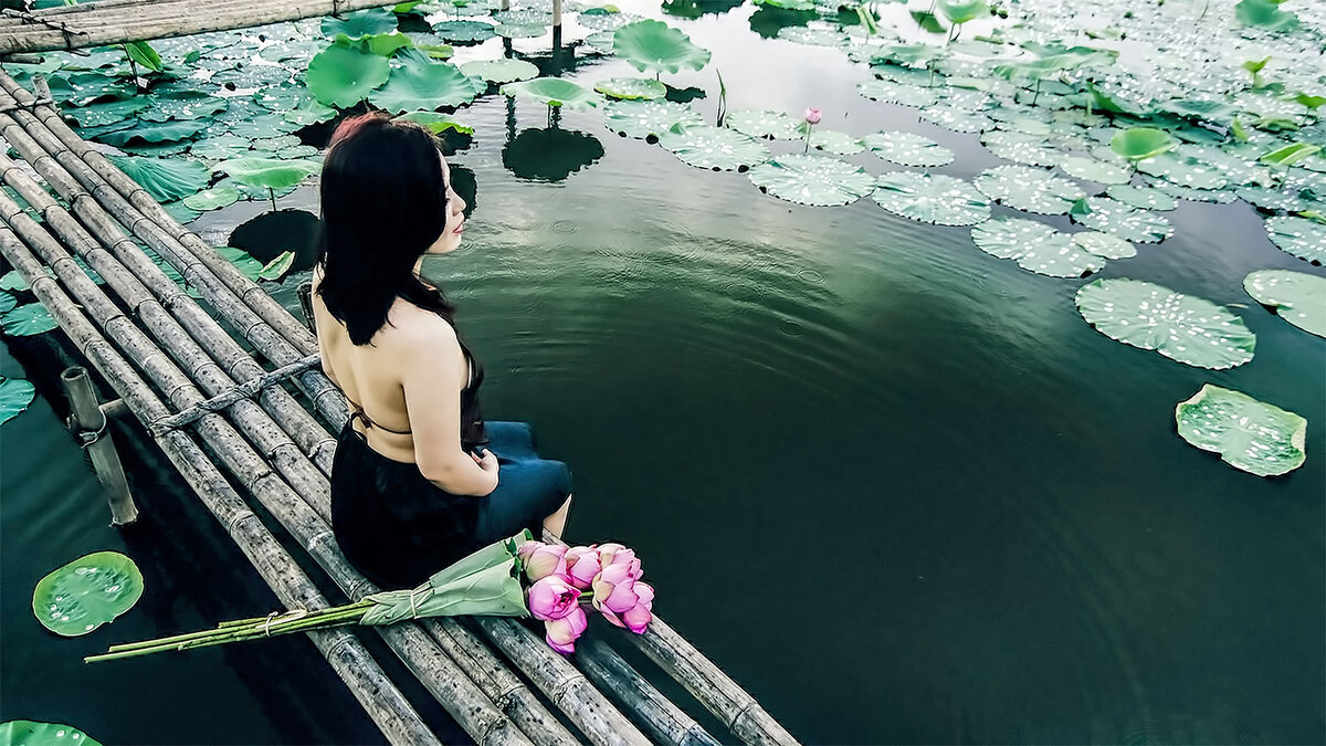 Image by Tú Anh from Pixabay 