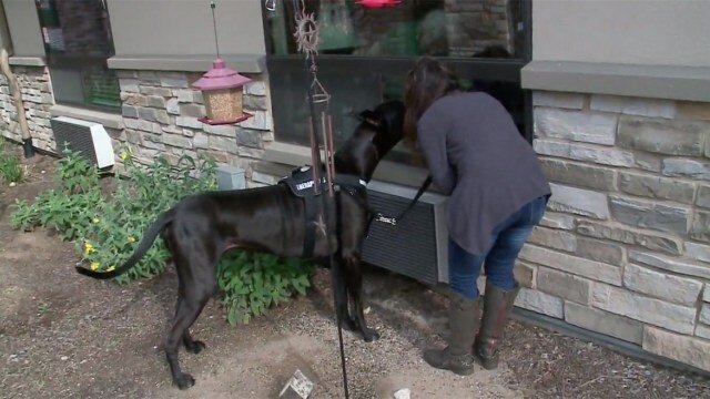 Фото: KXAN News