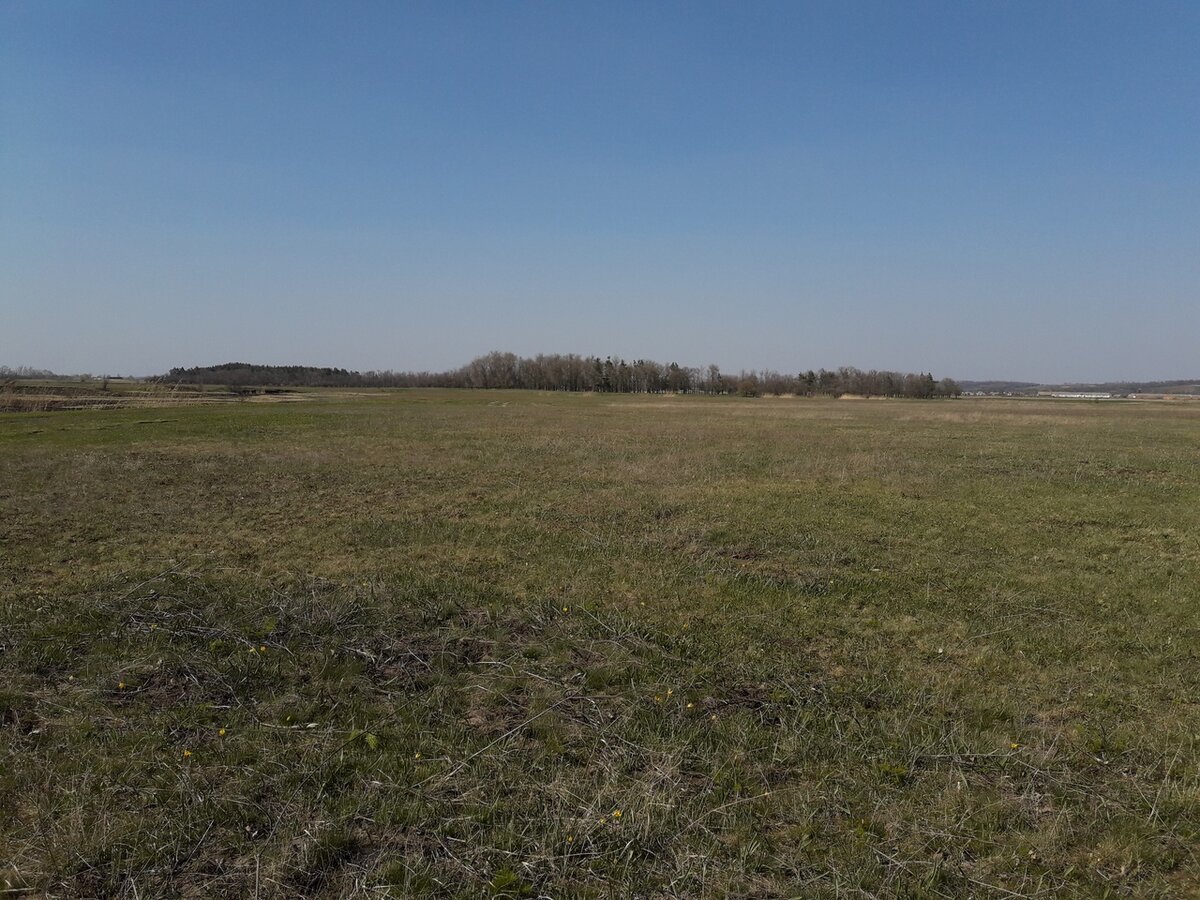 В лугах