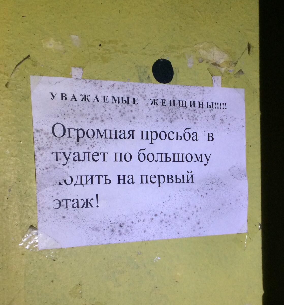 Писают в деревянном туалете