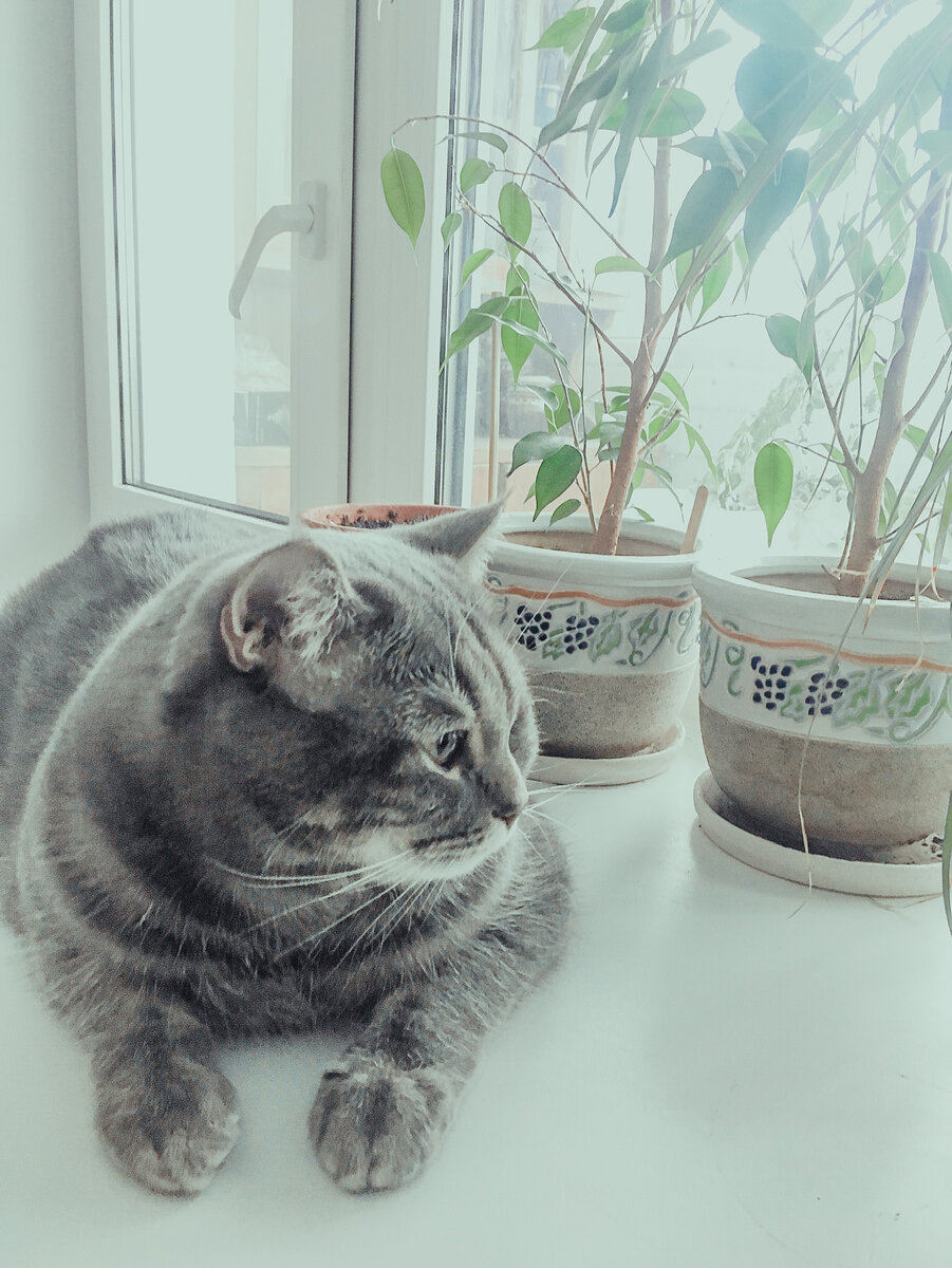 Фото из моего Инстаграмм 