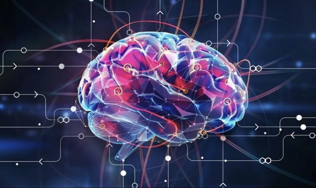 Фото из открытого интернет источника