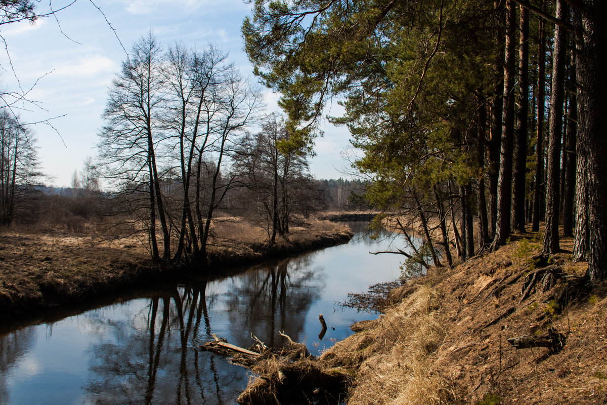 Фото с Яндекс Картинки