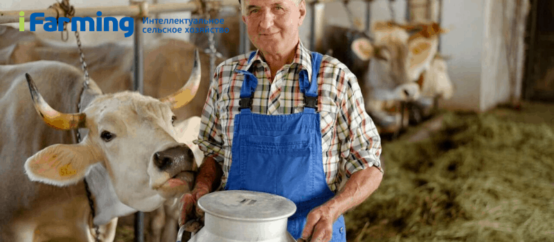 Агробизнес:  производство сырого коровьего молока. Молочно-товарная ферма на 100 голов крупного рогатого скота.