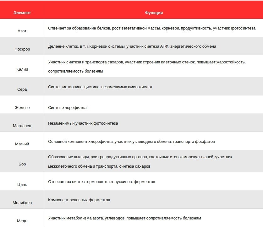 Почему желтеют и краснеют листья клубники летом