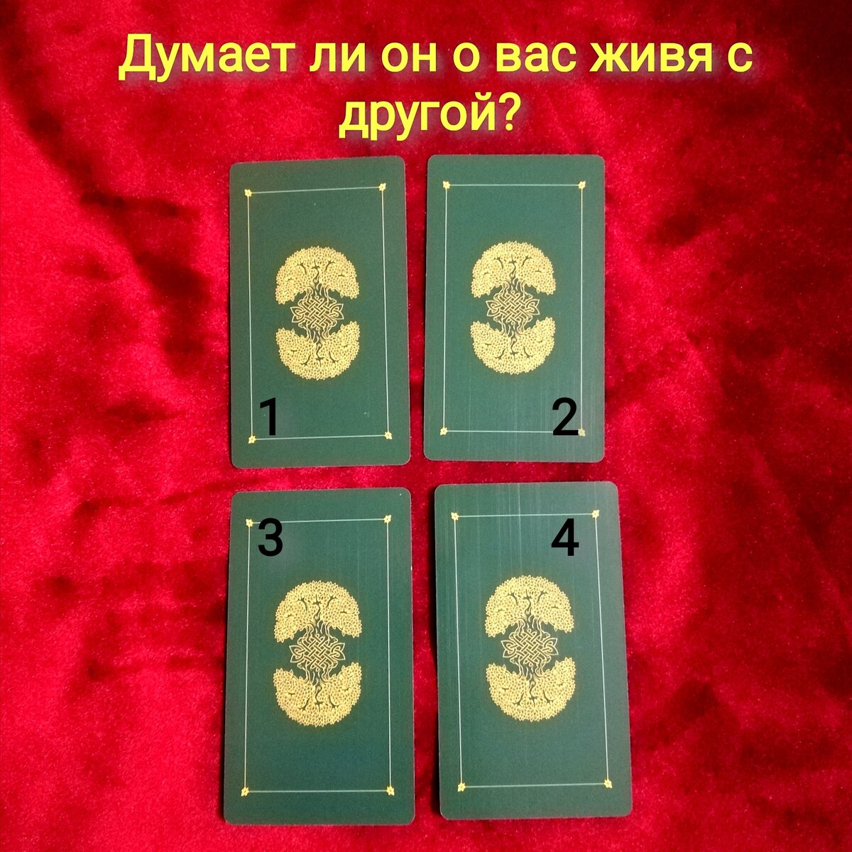 Выберете одну карту 