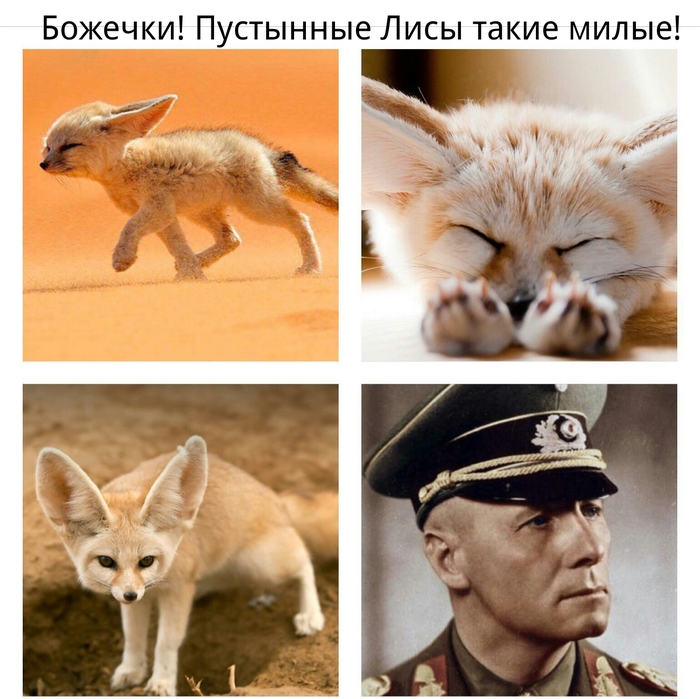 Служба изображений