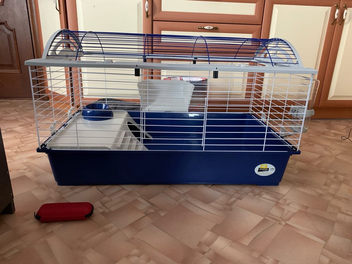 Очечник для понимания размера.