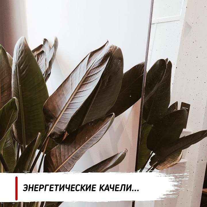 @cherepkovanna
