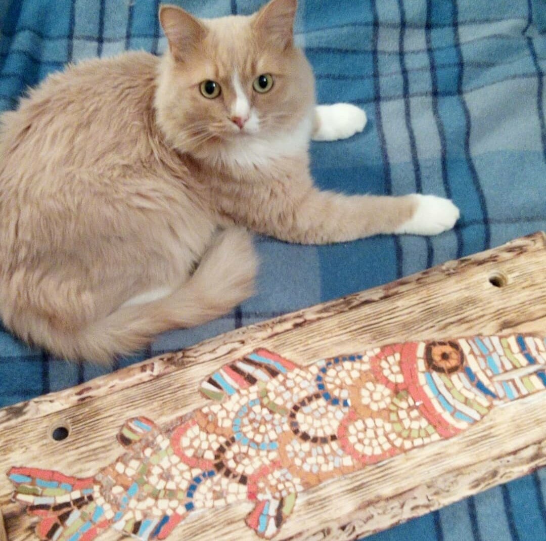 Смешная рыба вышла. Но Тихон доволен. В Отверстия вставила толстую пеньковую веревку.