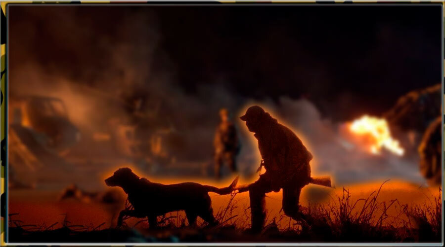 Охотник на войне