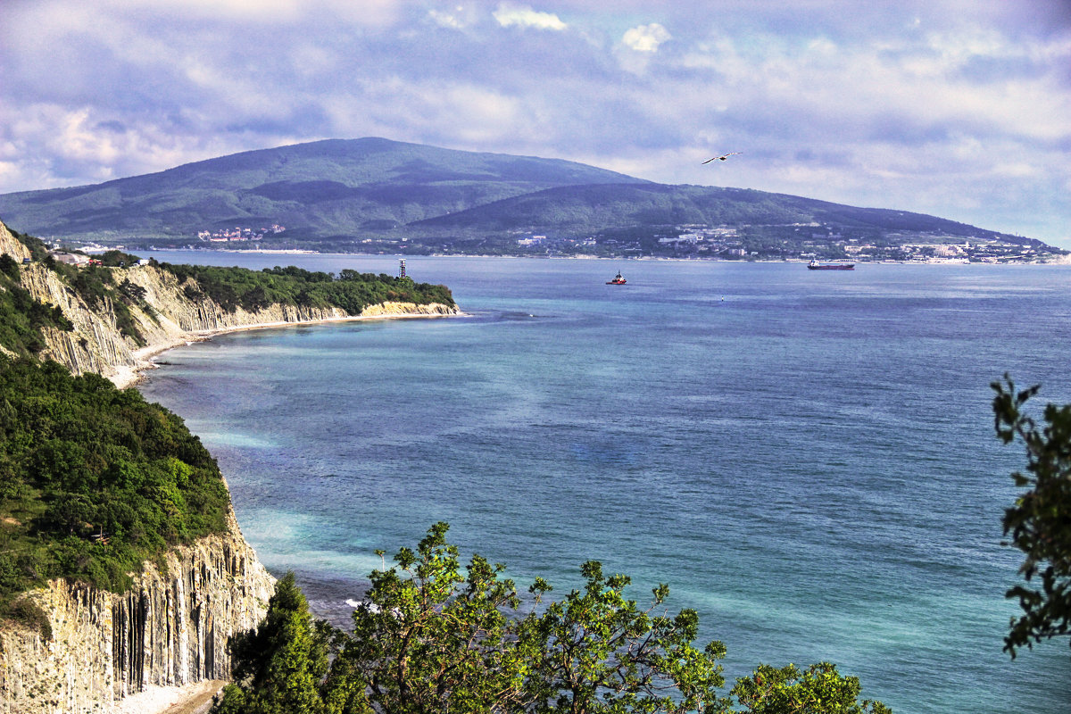 Картинка из свободного доступа в сети интернет