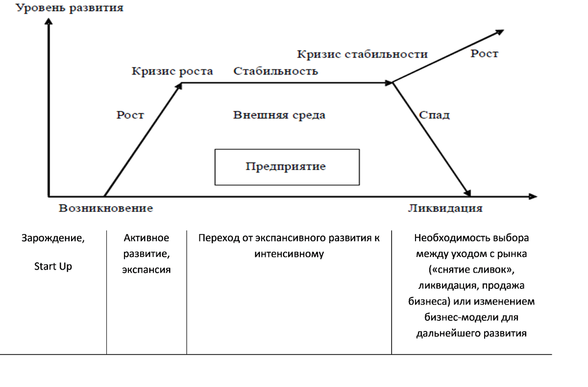 Так выглядит модель жизненного цикла бизнеса в учебниках. 