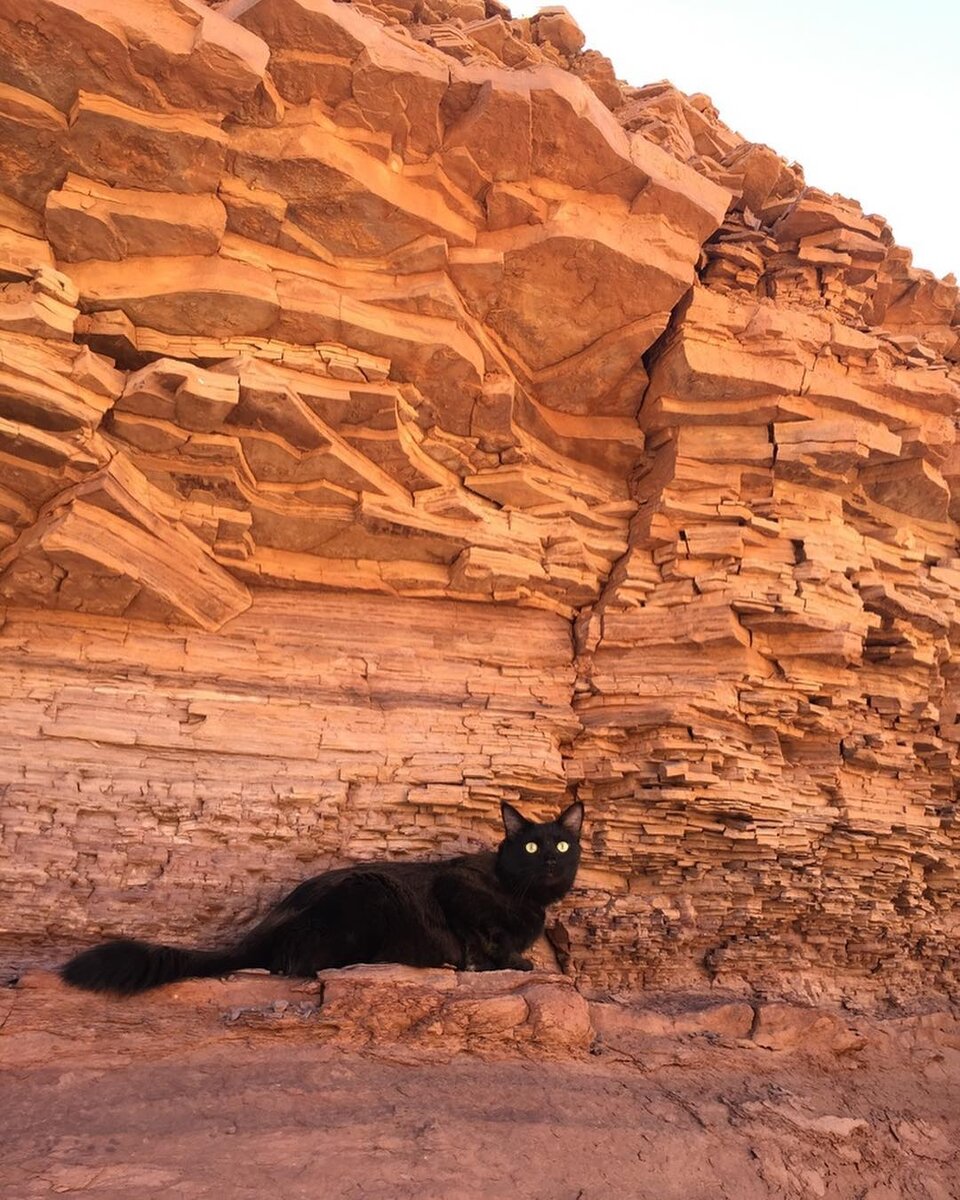 Фото из инстаграм-аккаунта @pechanga