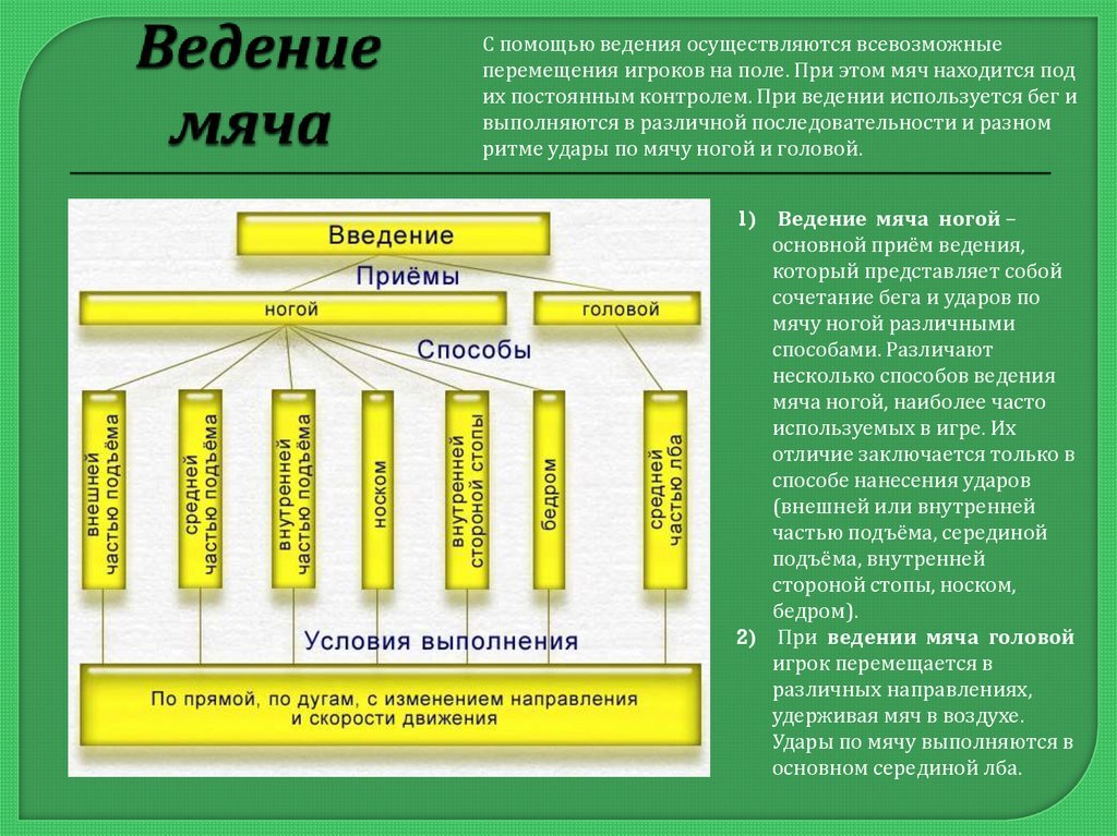 Разновидности