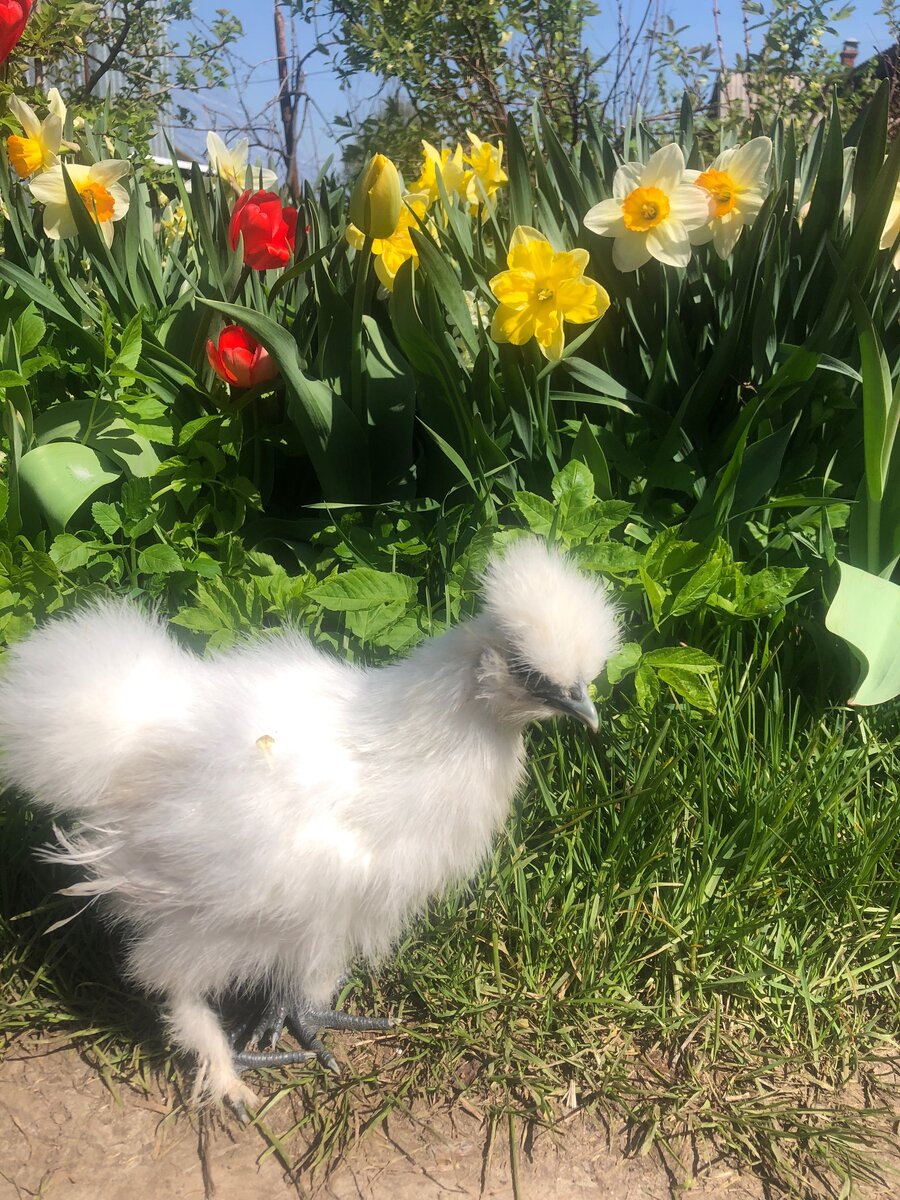 Личное фото 