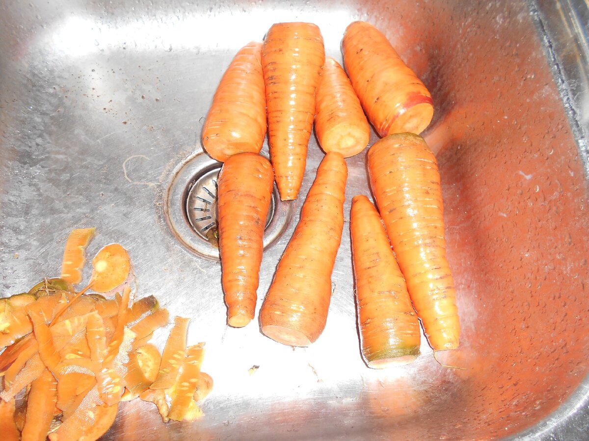 У меня морковь крупная, сорта Королева осени.