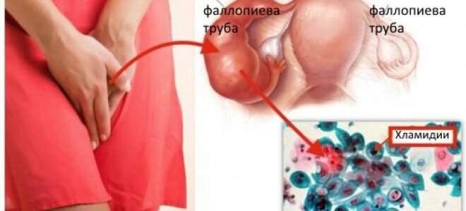 изображение из открытых источников